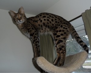 ariel-9-months-old3